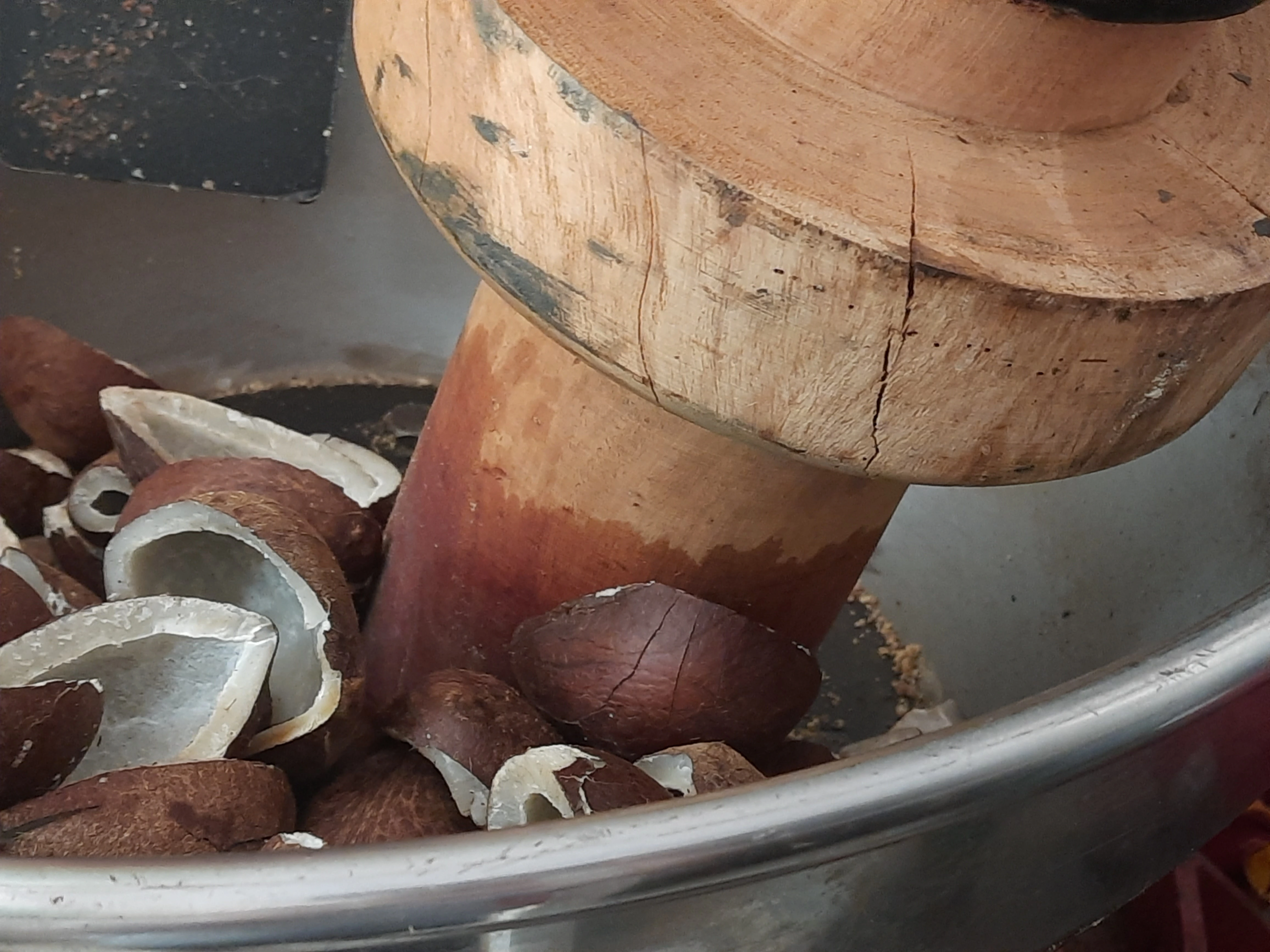Fresh Coconuts